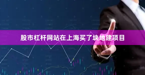 股市杠杆网站在上海买了块地建项目