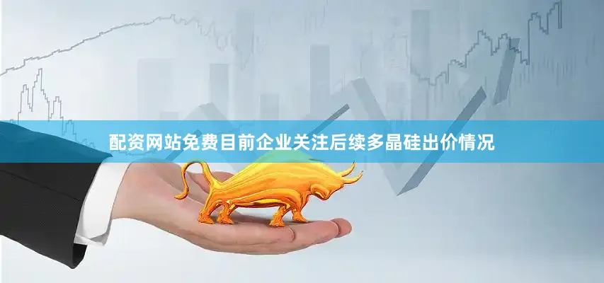 配资网站免费目前企业关注后续多晶硅出价情况