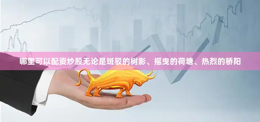 哪里可以配资炒股无论是斑驳的树影、摇曳的荷塘、热烈的骄阳