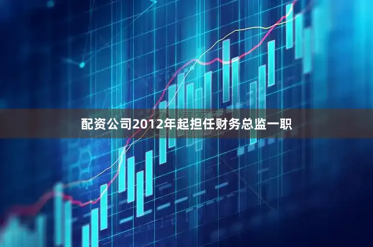 配资公司2012年起担任财务总监一职