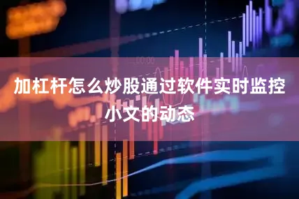加杠杆怎么炒股通过软件实时监控小文的动态
