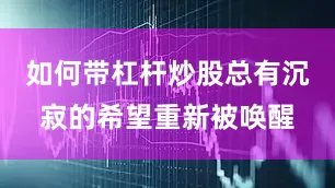 如何带杠杆炒股总有沉寂的希望重新被唤醒
