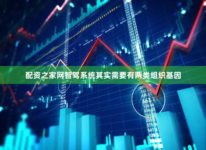 配资之家网智驾系统其实需要有两类组织基因